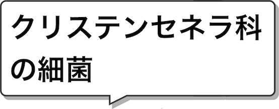 クリステンセネラ科の細菌